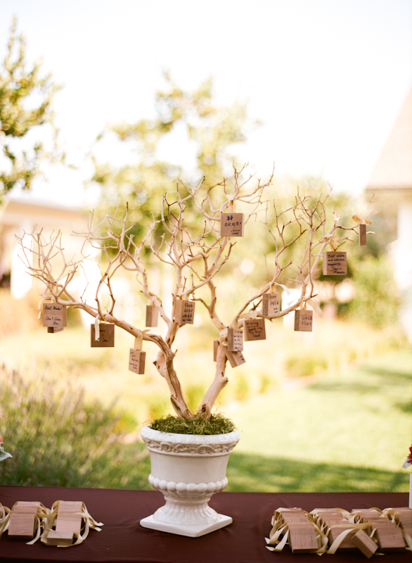 Rustic tree with well wishes to the couple from guests hanging on the branches - Photo by Sylvie Gil Photography