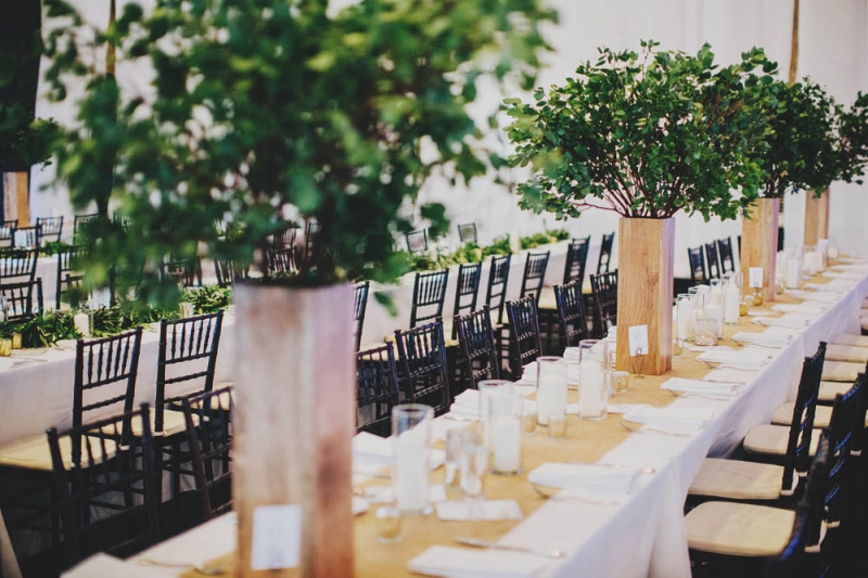 tall plant centerpieces small tree centerpieces farm table reception