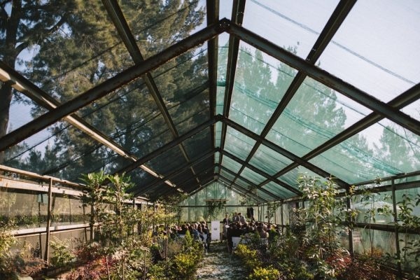 Greenhouse Wedding at Rosemary Hill in South Africa