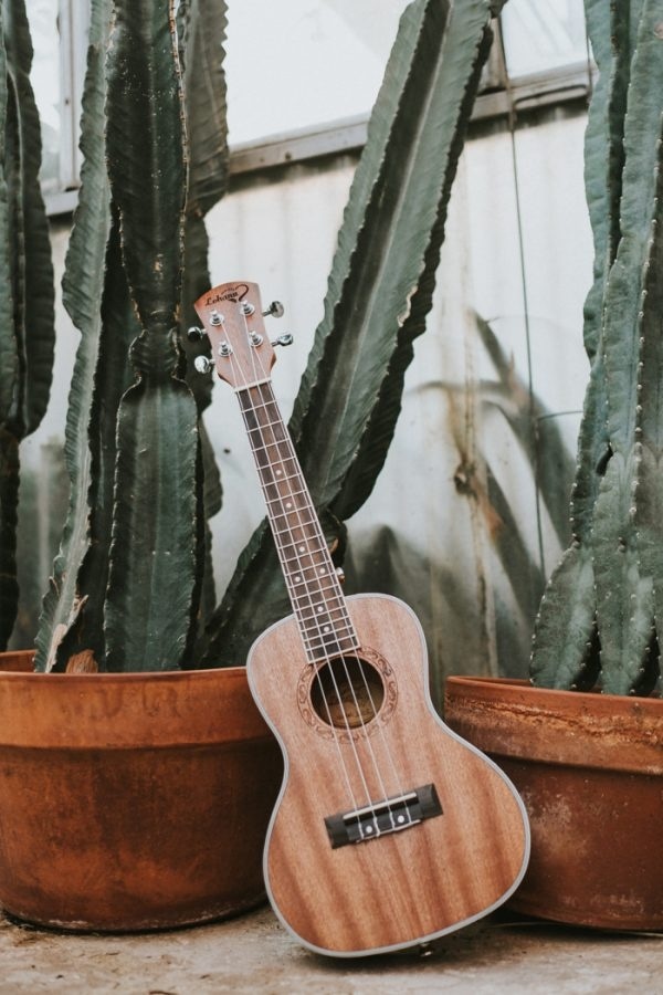 Cacti and Ukulele Details in A Greenhouse Engagement Session