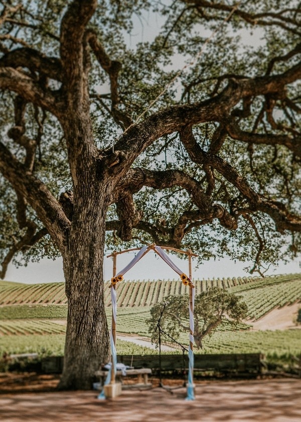 California Countryside Wedding at Palomar Junction Vineyard and Winery Ceremony Arch