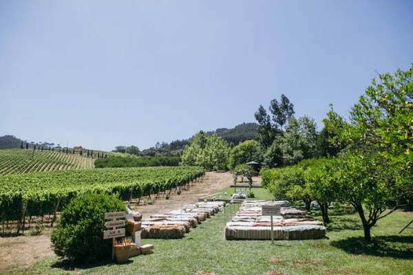 Rustic Vineyard Wedding at Quinta de Santana