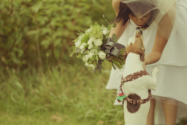 sweet photo of bride kissing dog - adorable wedding photo by award-winning wedding photographers stillmotion | JunebugWeddings.com sweet photo of bride kissing dog - adorable wedding photo by award-winning wedding photographers stillmotion | JunebugWeddings.com