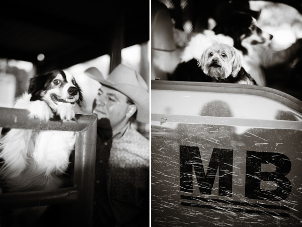 rustic, Texas ranch engagement photos by top Houston-based wedding photographers Studio 563 rustic, Texas ranch engagement photos by top Houston-based wedding photographers Studio 563