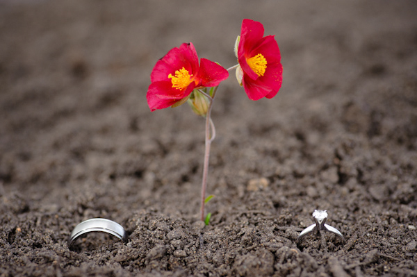 creatively captured wedding ring photo by top Portland wedding photographer Aaron Courter creatively captured wedding ring photo by top Portland wedding photographer Aaron Courter