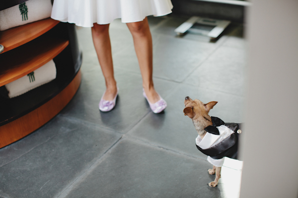 Banyan Tree Hotel, Riviera Maya, Mexico destination wedding photos by top Michigan-based wedding photographers Bryan and Mae Banyan Tree Hotel, Riviera Maya, Mexico destination wedding photos by top Michigan-based wedding photographers Bryan and Mae