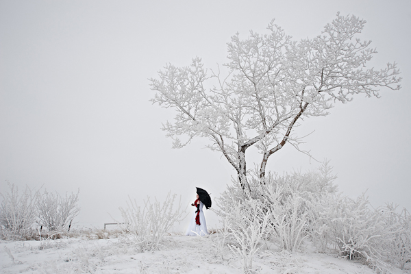 honorable mention best creative wedding photo of 2011 by Shelley Webber of As I See It Photography honorable mention best creative wedding photo of 2011 by Shelley Webber of As I See It Photography
