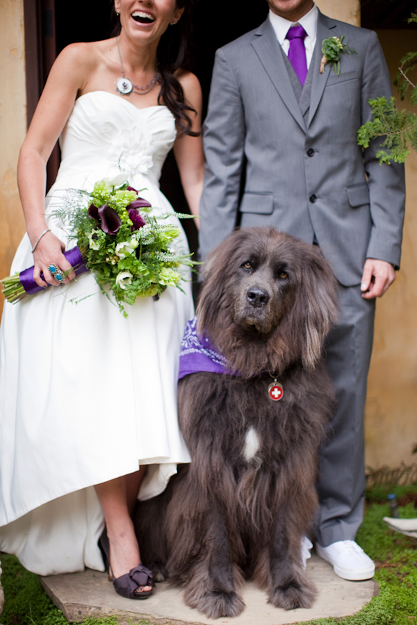 honorable mention best funny wedding photo of 2011 by Christina Diane of Christina Diane Weddings honorable mention best funny wedding photo of 2011 by Christina Diane of Christina Diane Weddings