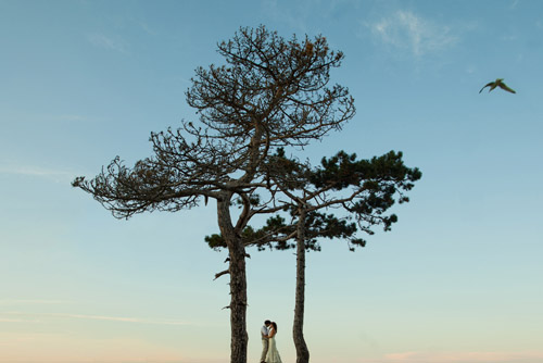 beautiful wedding portrait - honorable mention from the Junebug Best of the Best 2011, photo by Jonas Peterson of Jonas Peterson Photography beautiful wedding portrait - honorable mention from the Junebug Best of the Best 2011, photo by Jonas Peterson of Jonas Peterson Photography