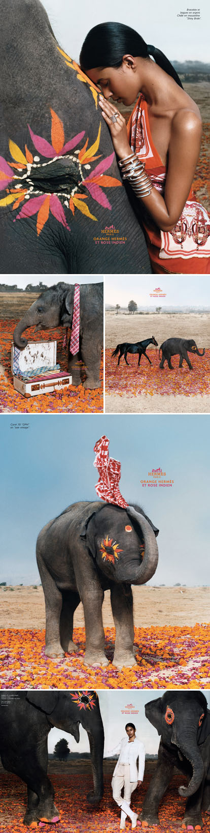 Hermes Orange, India Pink ad campaign