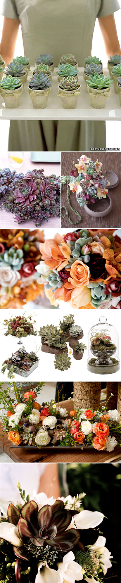 spring wedding bouquets, centerpieces, boutonnieres and floral decor with succulents