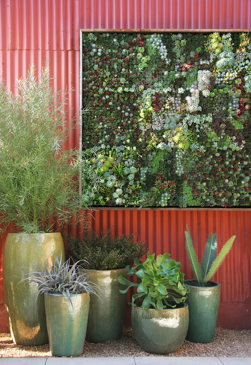indoor vertical succulent garden
