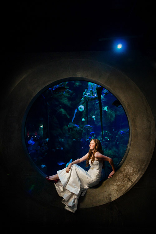 California Academy of Sciences Wedding - photos by Cliff Brunk Photograpy | Junebug Weddings California Academy of Sciences Wedding - photos by Cliff Brunk Photograpy | Junebug Weddings
