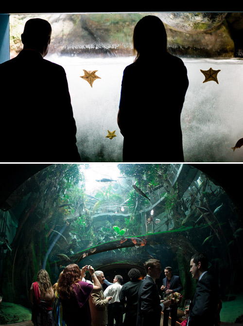 California Academy of Sciences Wedding - photos by Cliff Brunk Photograpy | Junebug Weddings California Academy of Sciences Wedding - photos by Cliff Brunk Photograpy | Junebug Weddings