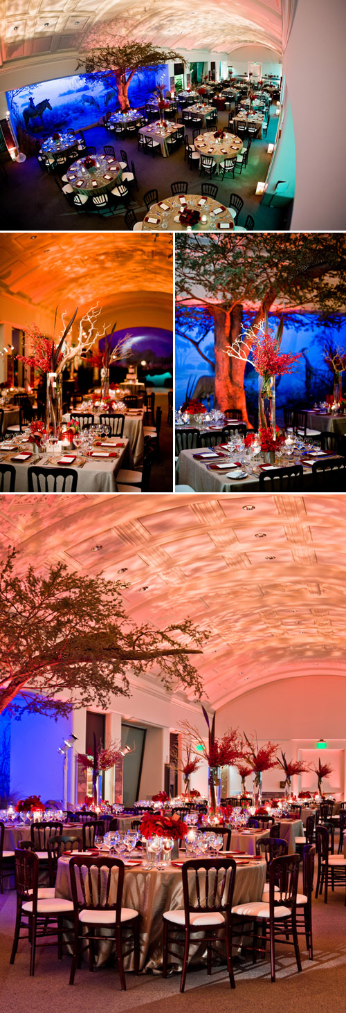 California Academy of Sciences Wedding - photos by Cliff Brunk Photograpy | Junebug Weddings California Academy of Sciences Wedding - photos by Cliff Brunk Photograpy | Junebug Weddings