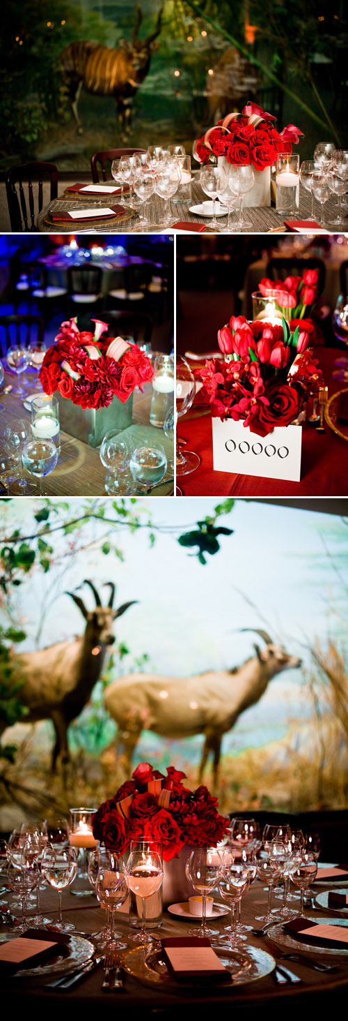 California Academy of Sciences Wedding - photos by Cliff Brunk Photograpy | Junebug Weddings California Academy of Sciences Wedding - photos by Cliff Brunk Photograpy | Junebug Weddings