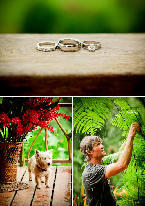 Costa Rica rain forest destination wedding - photos by southern california wedding photographers Beautiful Day Photography Costa Rica rain forest destination wedding - photos by southern california wedding photographers Beautiful Day Photography