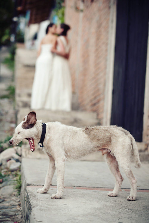 Best of the Best 2012 Honorable Mention wedding photo by Elizabeth Lloyd Photography | junebugweddings.com Best of the Best 2012 Honorable Mention wedding photo by Elizabeth Lloyd Photography | junebugweddings.com