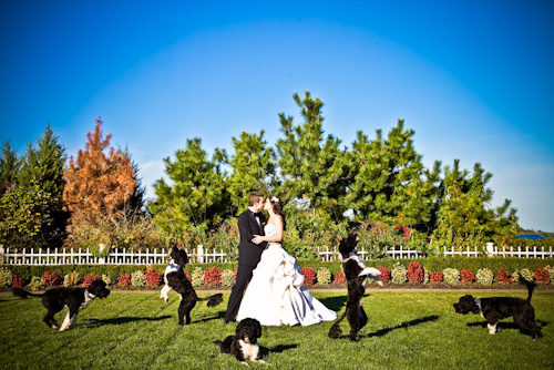 Best of the Best 2012 Honorable Mention wedding photo by Roberto and Patty Ricci of Always Side by Side | junebugweddings.com Best of the Best 2012 Honorable Mention wedding photo by Roberto and Patty Ricci of Always Side by Side | junebugweddings.com