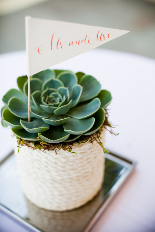 succulent floral detail from a nautical inspired wedding on San Juan Island with photos by Laurel McConnell Photography | junebugweddings.com