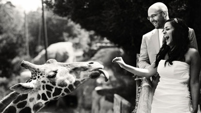 wedding couple with their giraffe, image by Amy and Stuart Photography