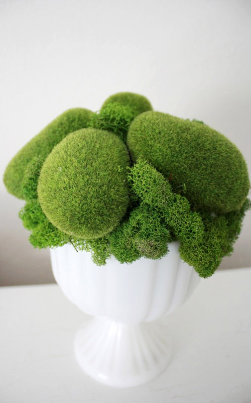 http://junebugweddings.com/img/whatjunebugloves/june2010/unique-floral-arrangements-moss-1.jpg