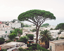 wedding in Anacapri, Italy with photos by Rochelle Cheever
