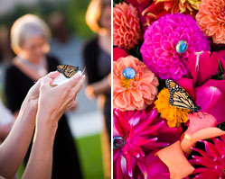 Stephanie cristalli photography, indian inspired wedding, seattle olympic sculpture park