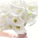 White Wedding Flowers from Flora Nova Design