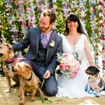 Wedding Inspiration – Adorable Wedding Dogs