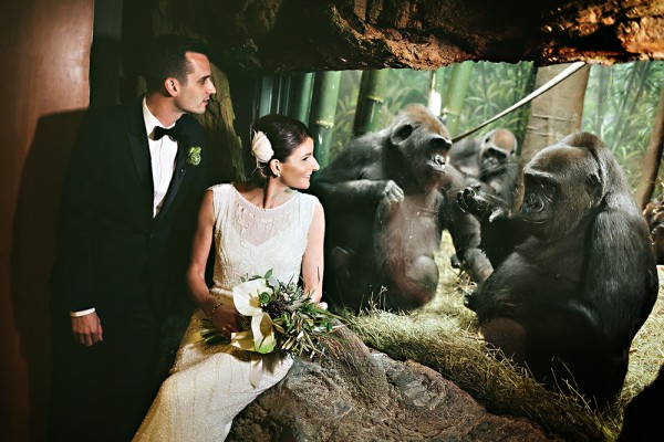 einphoto-Bronx-Zoo-Wedding-042