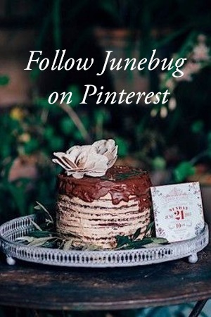 Follow Junebug on Pinterest