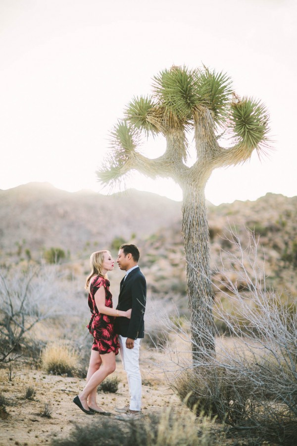 Glam-Palm-Springs-Meets-Joshua-Tree-Engagement-Photos-Lets-Frolic-Together-0038