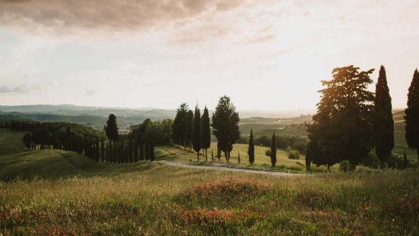 your-jaw-is-going-to-drop-when-you-see-this-gorgeous-tuscan-elopement-41