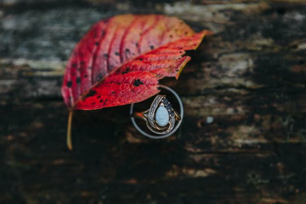 intimate-fall-backyard-wedding-in-columbus-ohio-little-blue-bird-photography-33
