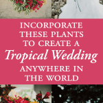 Incorporate These Plants to Create a Tropical Wedding Anywhere in the World