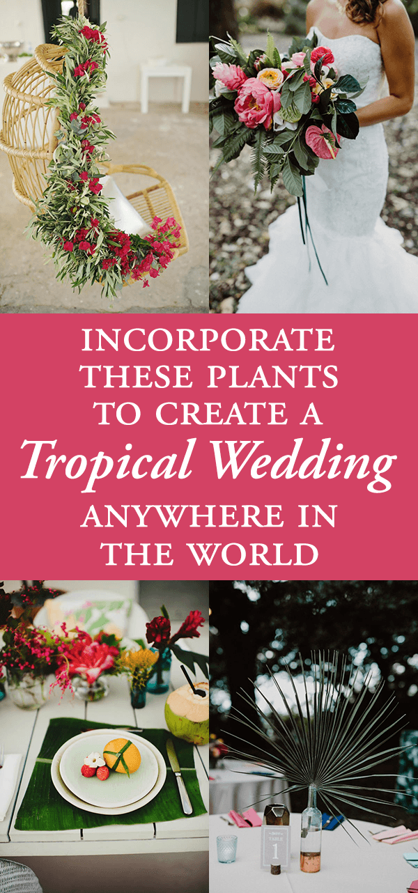 Incorporate These Plants to Create a Tropical Wedding Anywhere in the World