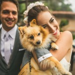 Junebug’s Top 10 Cutest, Funniest and Most Lovable Dogs at the Wedding!