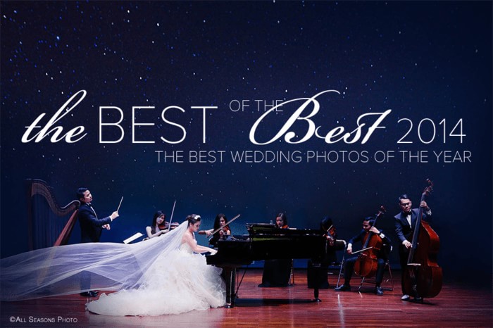 Best Wedding Photos 2014
