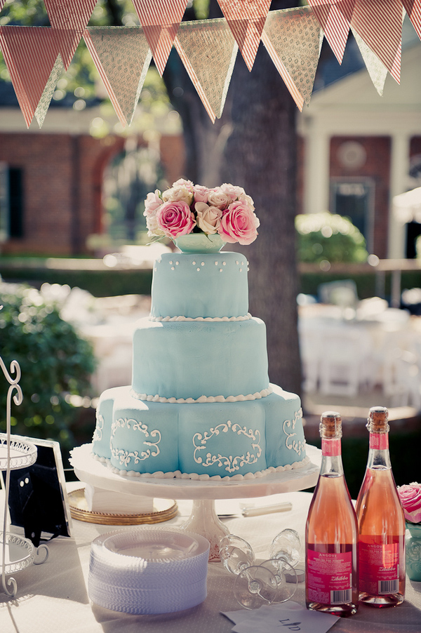 Romantic light blue wedding cake - Wedding Photo by Elizabeth Davis