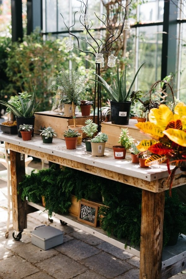 Greenhouse Wedding Venue Plants