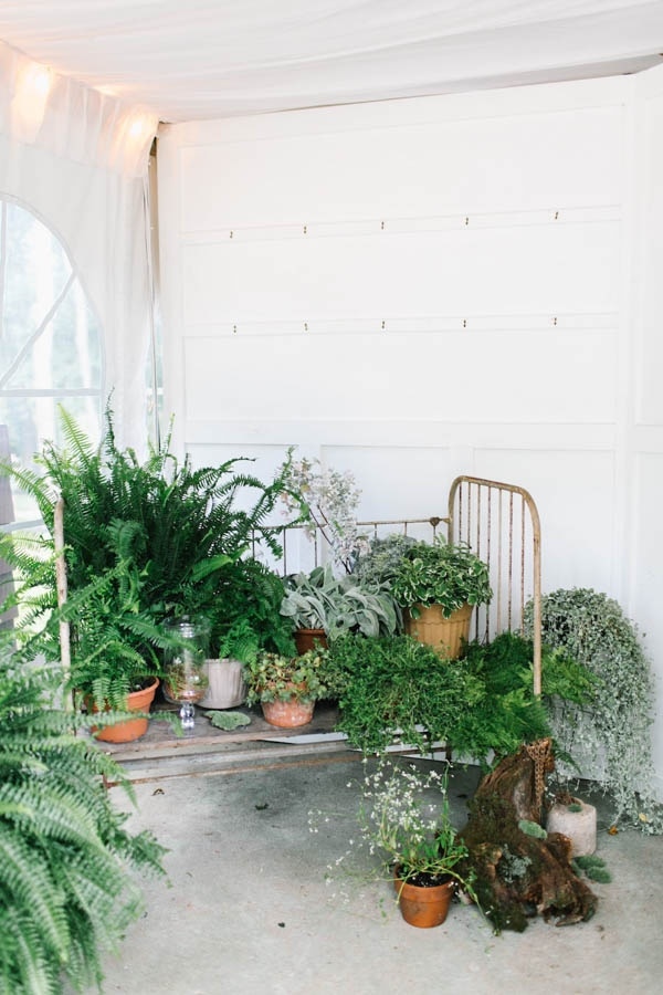 Lush Plants in a Greenhouse Wedding