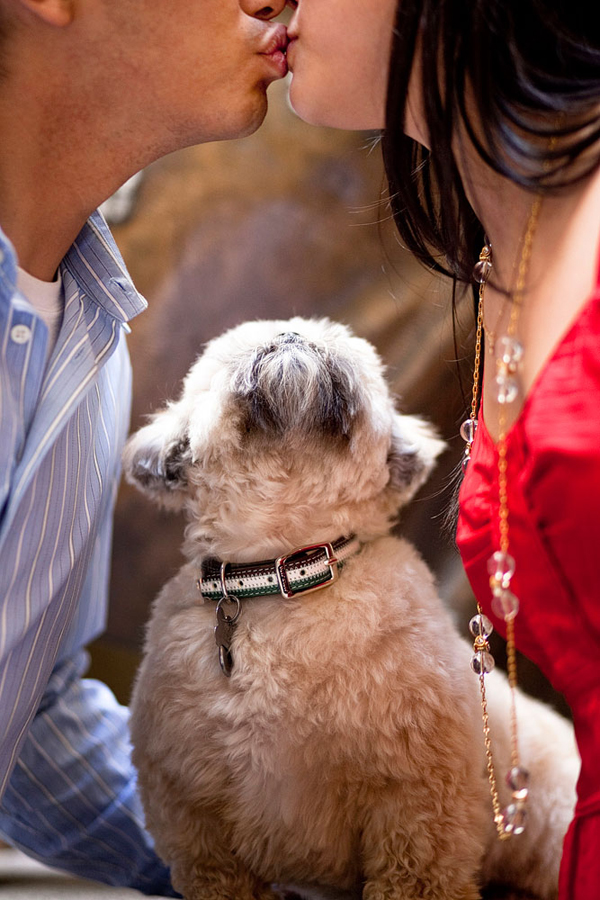 engagement photo with animal by Jules Bianchi of Jules Bianchi Photography | junebugweddings.com