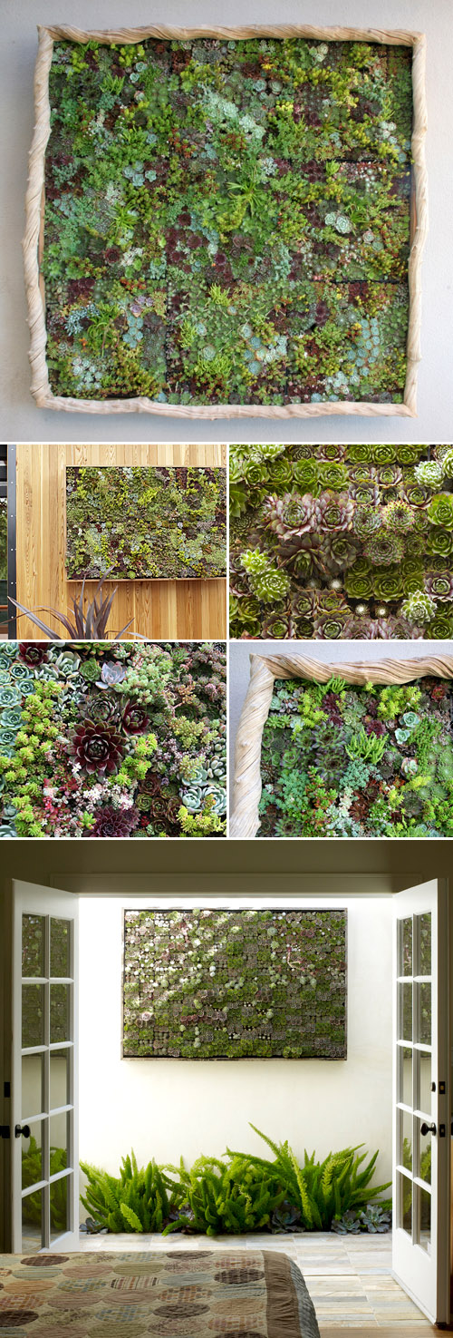 Vertical succulent gardens for weddings and home decor from Flora Grubb Gardens in San Francisco
