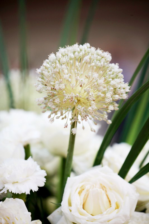 lavish and elegant wedding in Xian China, photos by Chris+Lynn Photography | junebugweddings.com