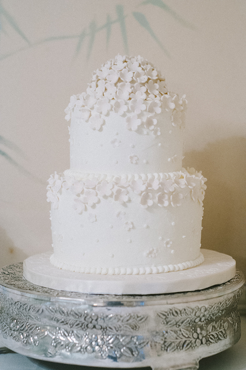 Cades Cove National Park wedding at Primitive Baptist Church, photos by Dixie Pixel Photography | junebugweddings.com