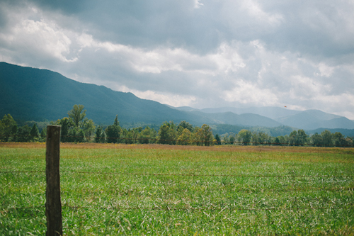 Cades Cove National Park wedding at Primitive Baptist Church, photos by Dixie Pixel Photography | junebugweddings.com