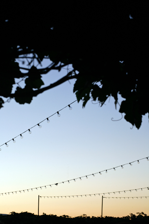 Cave B Winery Wedding in Washington; photos by Belathée Photography | junebugweddings.com