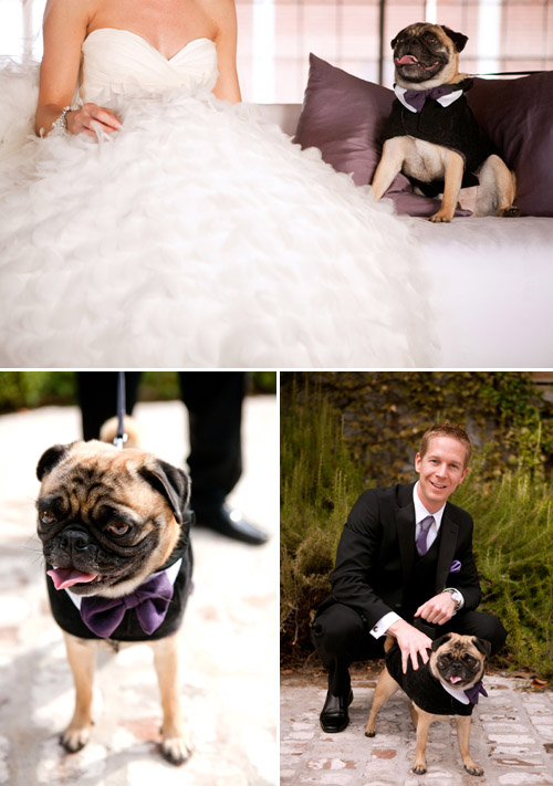 Elegant Purple and White Wedding in Atlanta, GA - photo by Renee Brock Photography | Junebug Weddings