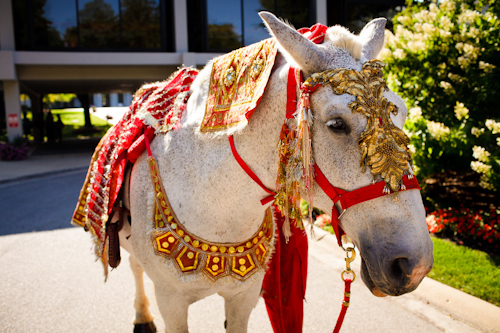 Bright, exuberant Hindu wedding - photos by Cathy and David Photographers | junebugweddings.com